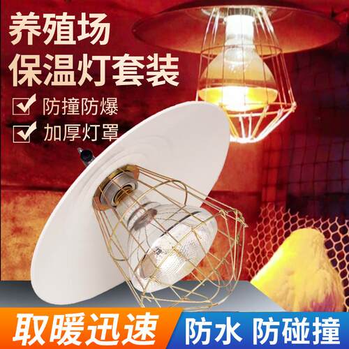 保温灯养殖场专用暖灯取暖灯罩动物小鸡育雏加热保暖灯泡小猪烤灯