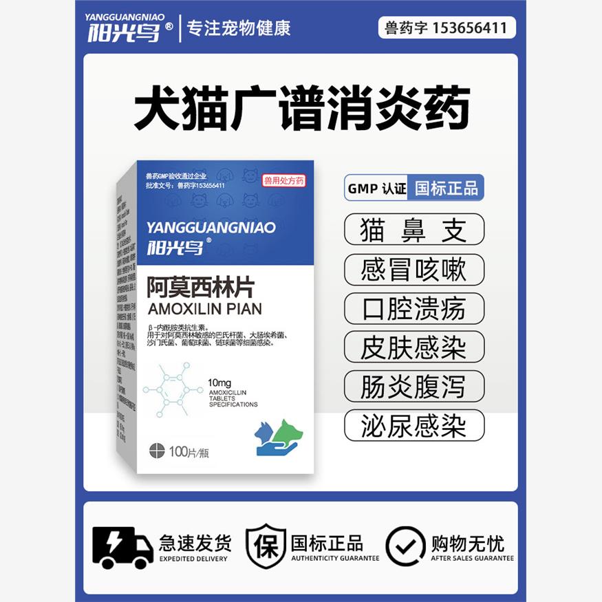 阳光鸟阿莫西林片猫用口