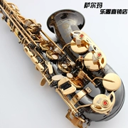 Salma 54 E-phẳng alto sax instrument / nhạc cụ gió đen kèn vàng saxophone mới bắt đầu saxophone - Nhạc cụ phương Tây