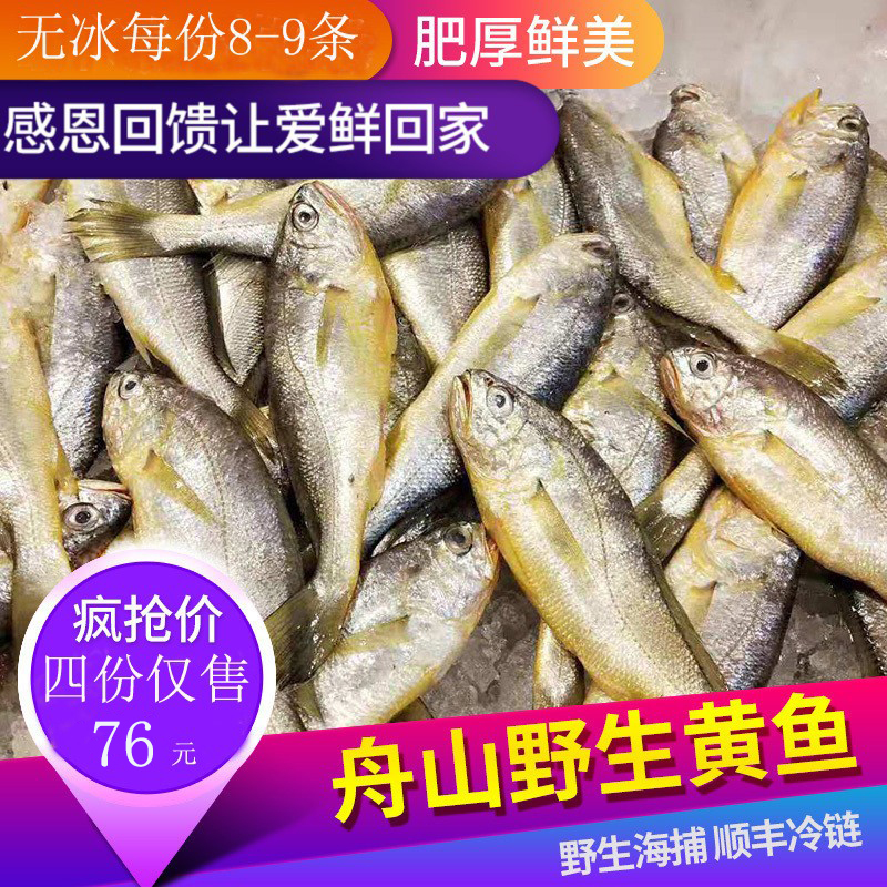 【无冰】76元4份野生小黄鱼新鲜冷冻黄花鱼梅子冰冻鲜活海鲜包邮