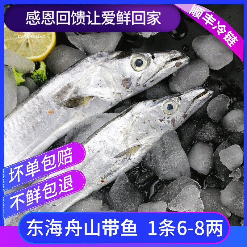 无冰  3斤装舟山雷达网带鱼东海野生小眼睛带鱼特大刀鱼新鲜鲜活