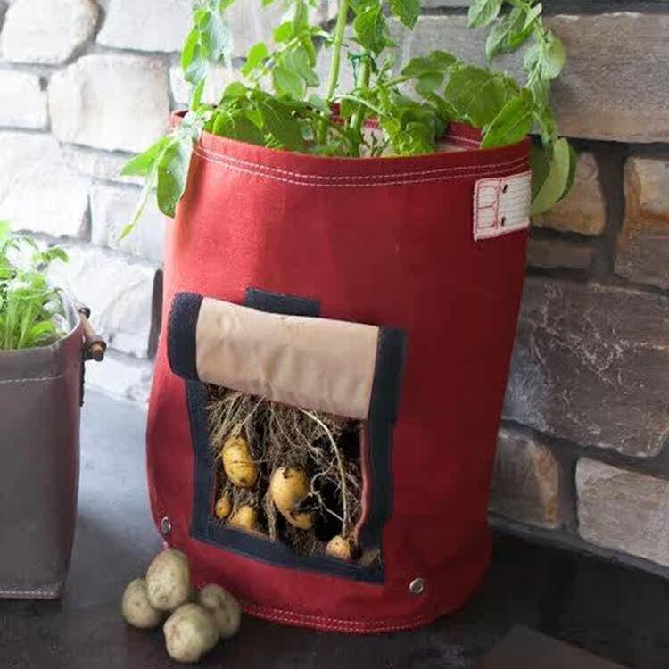 袋蔬菜土豆桶植物袋马铃薯神器无纺布袋量大优惠加厚种植阳台在类目 鲜花速递/花卉仿真/绿植园艺, 园艺用品, 育苗盘/营养钵中 - 来自Buy2taobao.com提供专业的淘宝代购服务