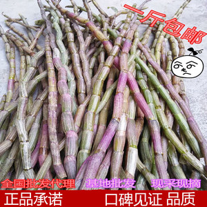 新鲜铁皮石斛鲜条500g乐清雁荡山四年露天生石斛霍山铁皮石斛枫斗