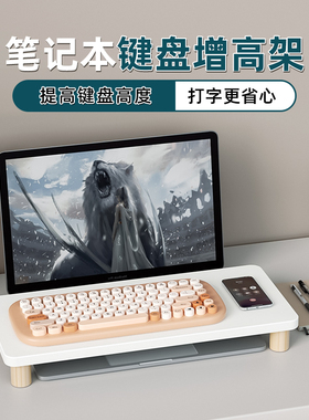 笔记本电脑外接键盘架桌面笔记本防尘写字支架电脑增高键盘收纳架