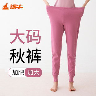 铜牛加肥棉毛女裤  2023秋冬新花色女士秋裤 纯棉棉毛女线裤VK023