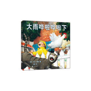 大雨哗啦哗啦下 大卫不可以 鸭子骑车记 大卫·香农 爱心树 儿童绘本 大奖绘本 畅销绘本 经典