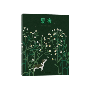 夏夜 博洛尼亚插画展年度作品 清新惬意的夜晚散步 一步一步遇见夏天的风景 感受自然生活中的小小幸福 大拉页艺术画卷 爱心树