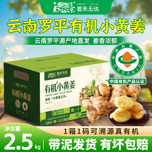 姜来无忧有机云南罗平小黄姜鲜姜