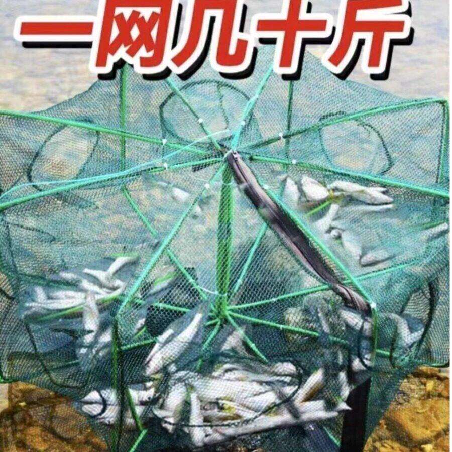捕鱼扇形网折叠虾渔网网鱼抓鱼扑鱼黄鳝龙虾只进不出捕虾