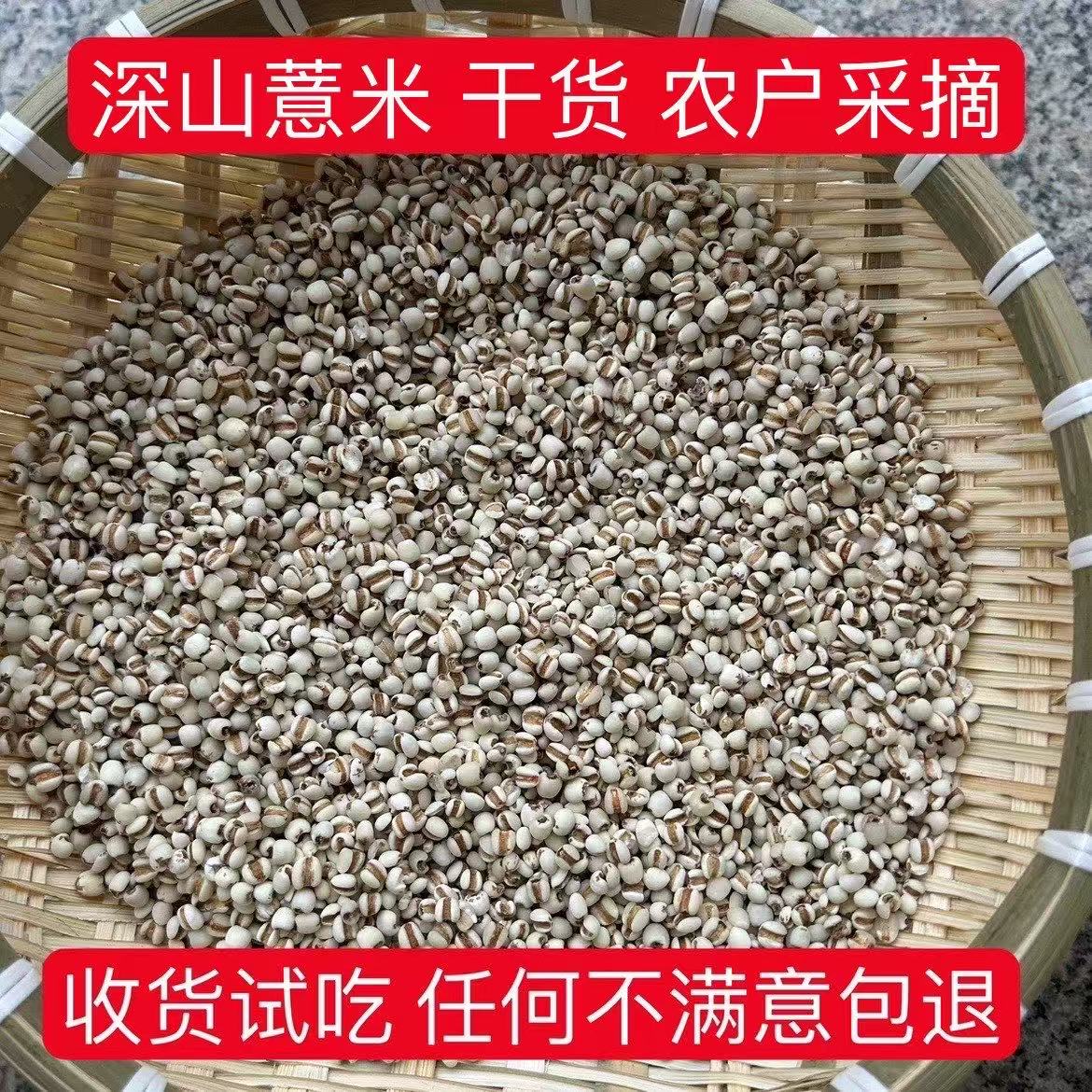 深山薏米500g 可搭配红豆五谷杂粮 祛湿 包邮 非草珠子