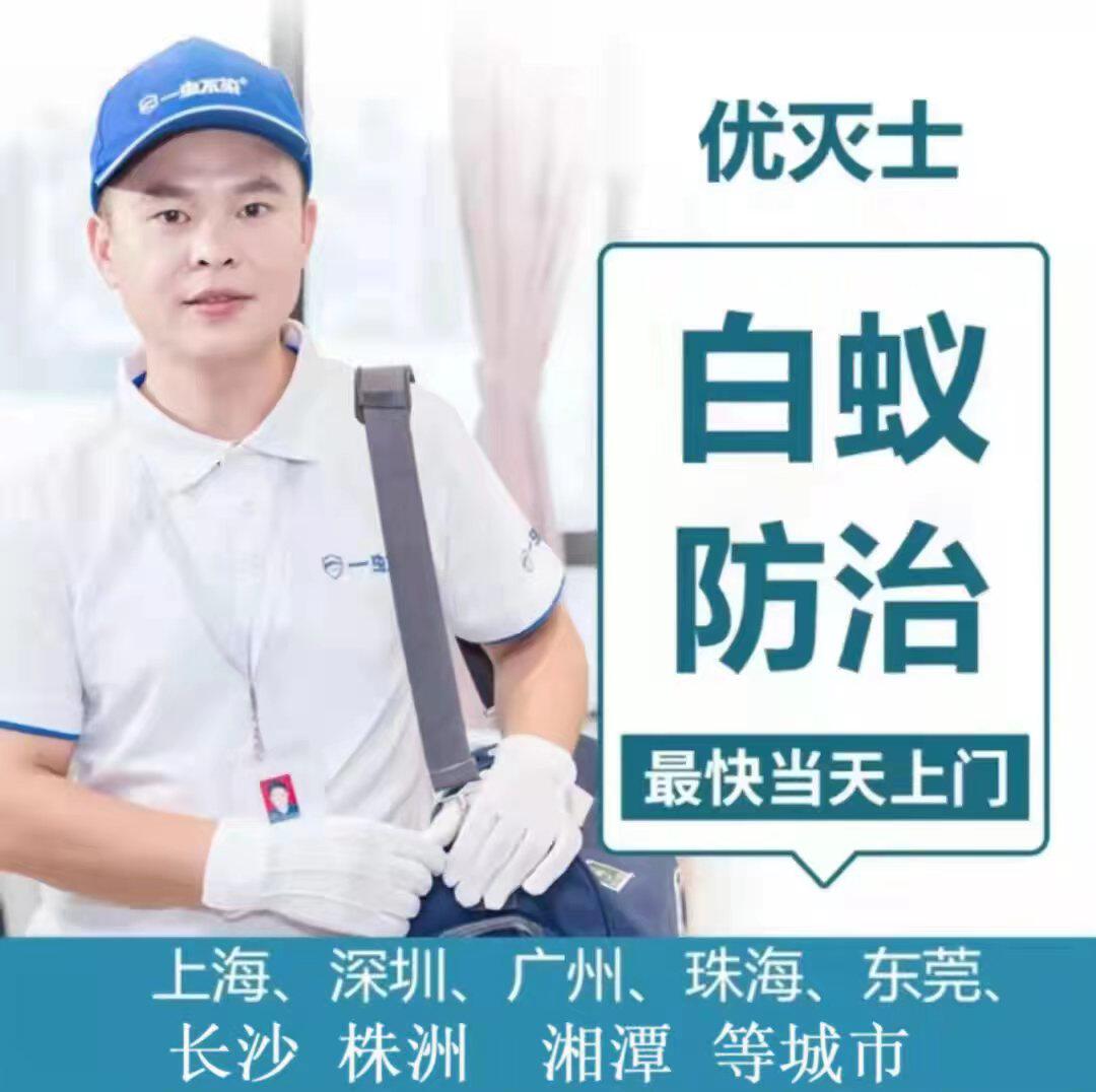 上海深圳长沙上门灭除白蚁家庭白蚁防治预防专业去杀虫检测公司