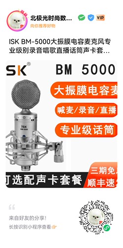 ISK BM-5000大振膜电容麦克风专业级别录音唱歌直播麦克风