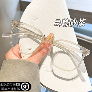 书卷气眼镜近视女可配度数网上专业配素颜平光镜眼睛框镜架显脸小