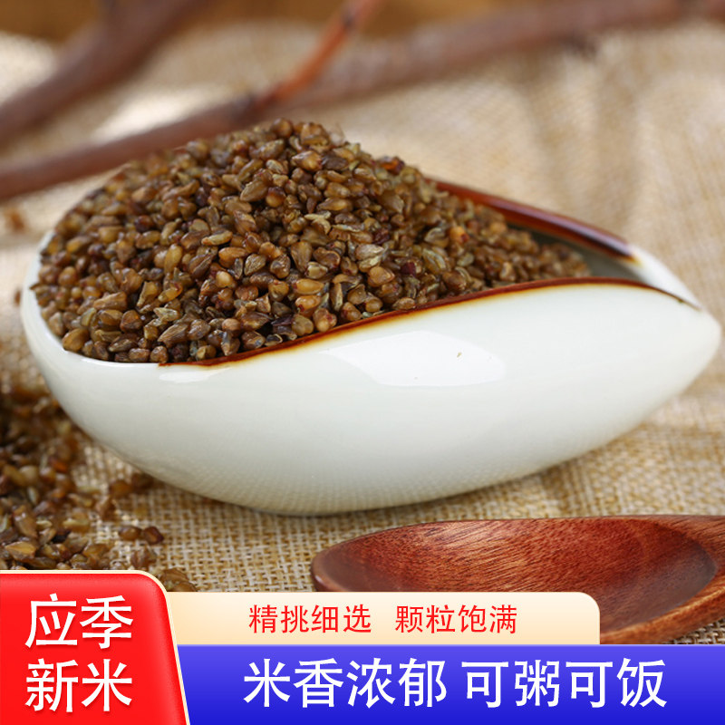 果小妞 黑荞麦米五谷杂粮荞米新货苦荞米苦荞麦米黑苦荞500g