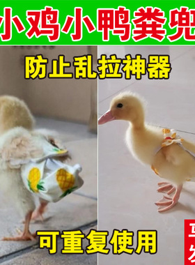 小鸡粪兜屎兜粪便袋尿不湿纸尿裤鹅鸭子屁兜接粪袋宠物用品可调节