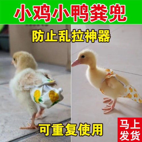 小鸡粪兜屎兜粪便袋尿不湿纸尿裤鹅鸭子屁兜接粪袋宠物用品可调节