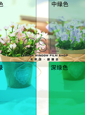绿色贴膜窗户玻璃贴纸隔热防晒遮光玻璃纸透光透明双向膜装饰窗膜
