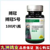 搏冠5号100片信鸽用品赛种鸽毛滴虫口黄口腔白点非鸽药鸽子药大全