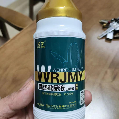 乐道爱鸽瘟热救命液信赛