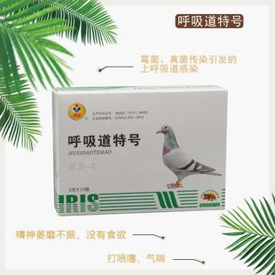 爱丽丝鸽药【呼吸道特号】清理赛鸽呼吸系统 爱丽丝鸽子药