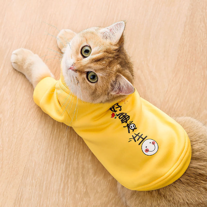 可爱猫咪春装衣服无毛猫蓝猫薄款卫衣幼猫宠物服装泰迪小狗狗衣服