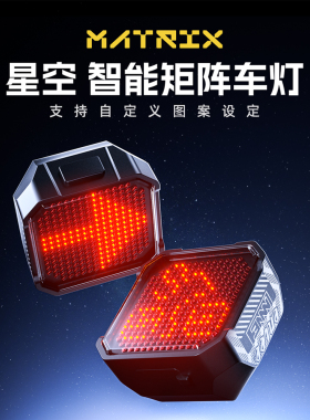 ENLEE自行车尾灯夜骑灯防水充电公路山地车夜间骑行表情刹车灯
