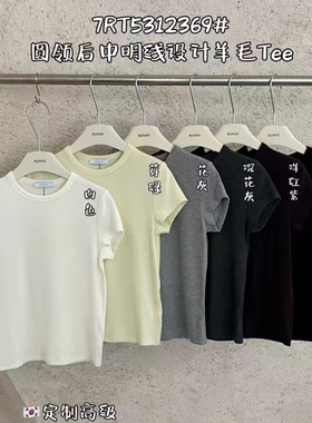 闰熙CECLLIA2369-7韩版中线设计亲肤软糯羊毛短袖T恤打底衫女25秋