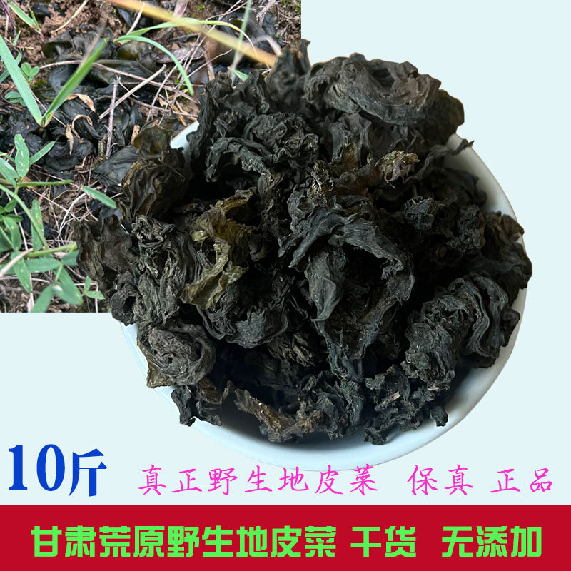 野生地皮菜10斤新干货地软地木耳地衣地达菜免洗包邮甘肃土特产