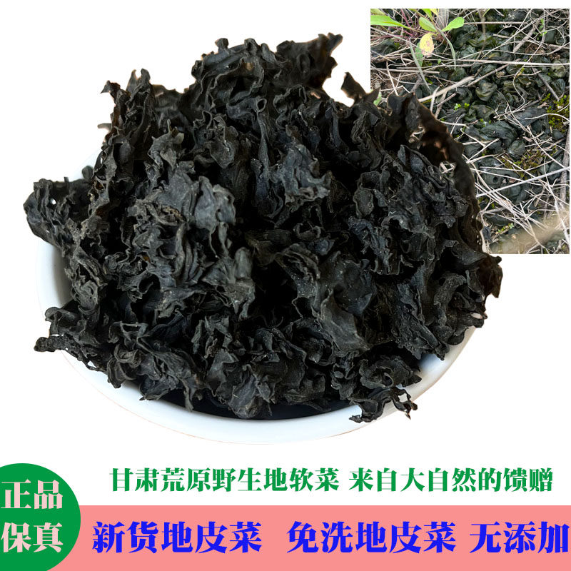 野生新干货地皮菜免洗250g甘肃土特产500g包邮地软地衣地木耳地达