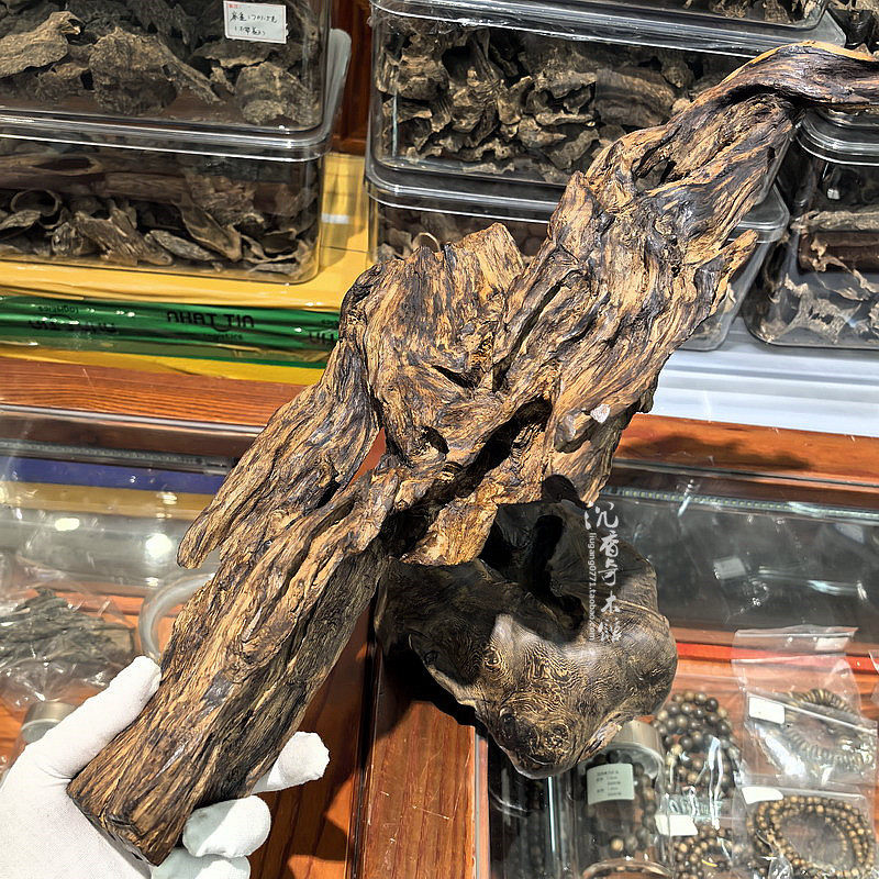 越南芽庄天然老料黄熟沉香天然随形家居办公风水工艺品摆件香韵佳