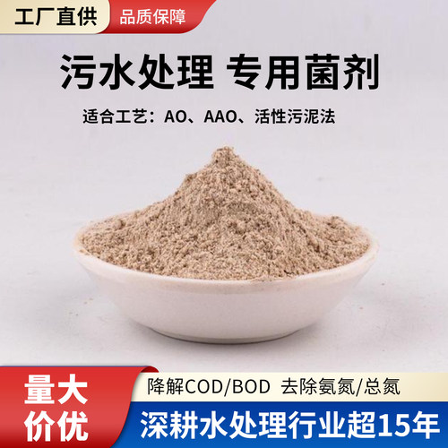 硝化细菌菌种生活污水处理活性污泥好氧厌氧反硝化菌种降氨氮COD