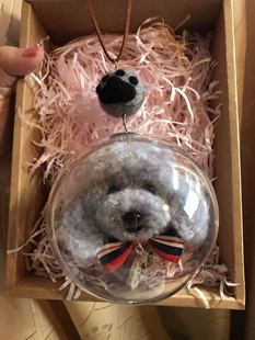 抖音同款羊毛毡泰迪汽车后视镜挂件 透明球罩比熊照片定制钥匙扣