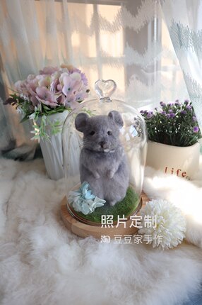 照片定制宠物龙猫玻璃罩摆件仓鼠豚鼠羊毛毡手工成品创意生日礼物