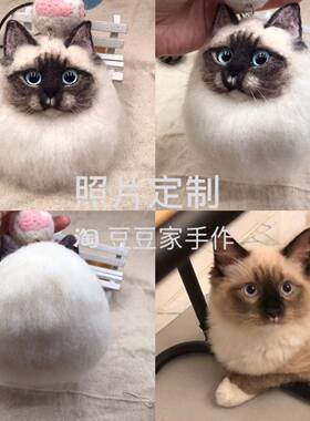 羊毛毡照片暹罗猫泰国海豹钥匙扣
