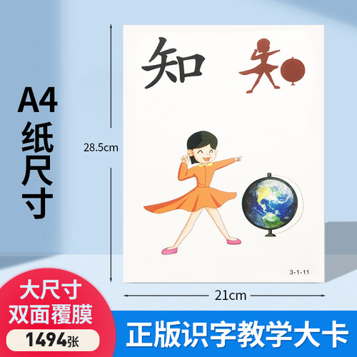 直映认字老师专用教学大卡a4卡片