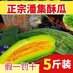 安徽淮南特产潘集酥瓜苏瓜羊角蜜羊角酥香瓜甜瓜新鲜采摘代楼戴楼