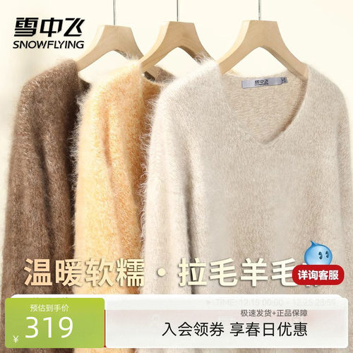 雪中飞100%绵羊毛拉毛V领高级休闲百搭羊毛衫女秋冬季软糯针织衫W