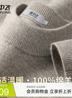 雪中飞【100%绵羊毛 细绒感温暖】圆领男式羊毛衫早春厚款打底衫W