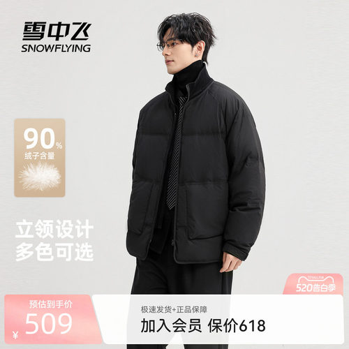 雪中飞时尚立领男士夹克羽绒服