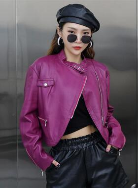 短外套女2025年秋季新款真皮立领皮衣紫色长袖上衣绵羊皮修身夹克