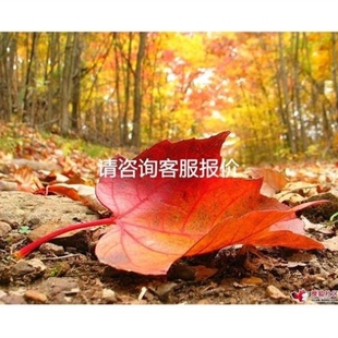 16N01议 议价询价abb变频器ACS800系列22kw用斩波VU0121 议价