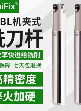数控高精快进给铣刀杆TEBL双面开粗抗震刀杆配特固克刀片BLMP0603