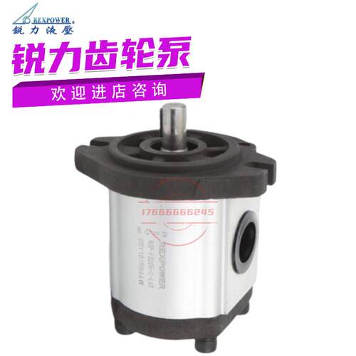 台湾油泵齿轮泵RGP-F304R/F308R/F312R/F314R/F318R议价