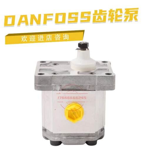 丹佛斯齿轮泵111.10.024.00 SNP1NN/2,2RN01BAP1F3F3NNNN议价