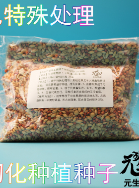 烟供五谷种子 特殊处理幻化种植种子延续裂变生命活力善业增长
