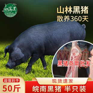 白荡里黑猪白条半只猪50斤山林散养新鲜猪腿肉五花肉肋排猪蹄生鲜