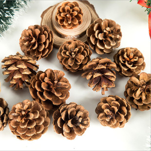 天然松果圣诞装饰干花幼儿园zakka松塔壳手工创意带钉松球diy材料