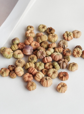 小桔瓜天然进口南瓜干花DIY