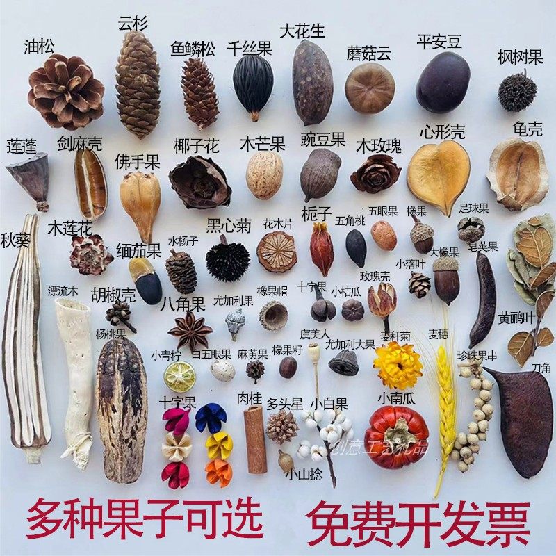 天然手工果子diy标本相框制作材料橡果松果套装幼儿园环创材料包