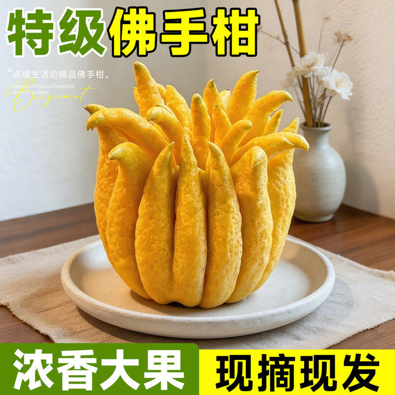 佛手柑鲜果摆件闻香云南新鲜天然车载香橼瓜特大桌面绿植清贡室内